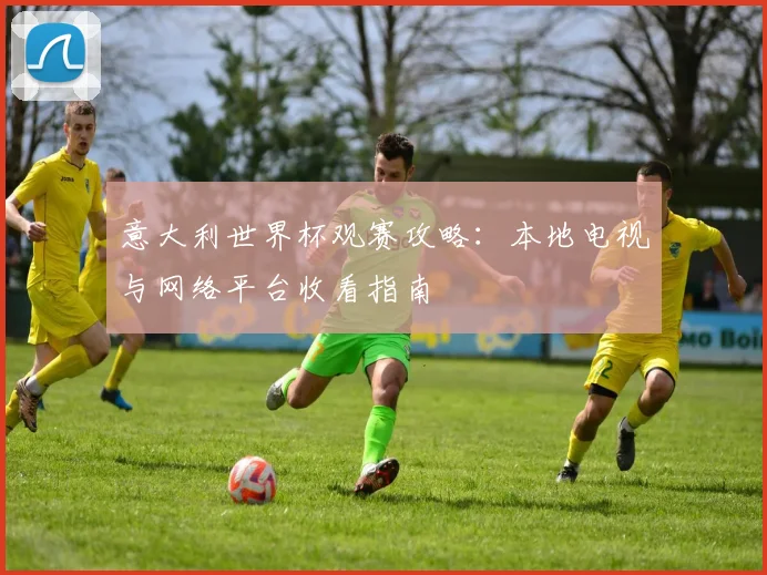 意大利世界杯观赛攻略:本地电视与网络平台收看指南