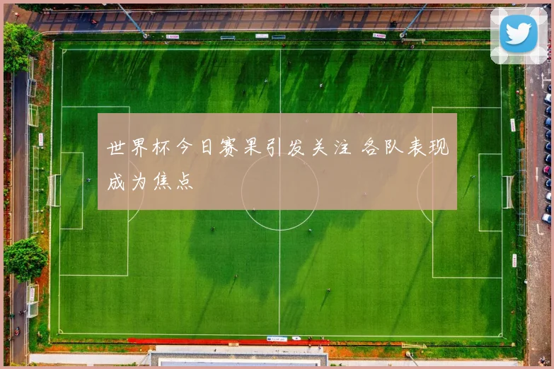 世界杯今日赛果引发关注 各队表现成为焦点