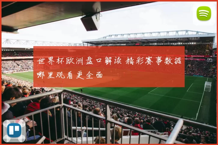 世界杯欧洲盘口解读 精彩赛事数据哪里观看更全面