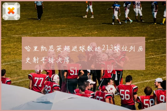 哈里凯恩英超进球数达213球位列历史射手榜次席