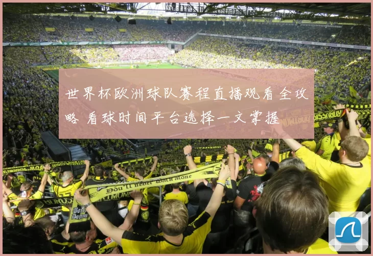 世界杯欧洲球队赛程直播观看全攻略 看球时间平台选择一文掌握
