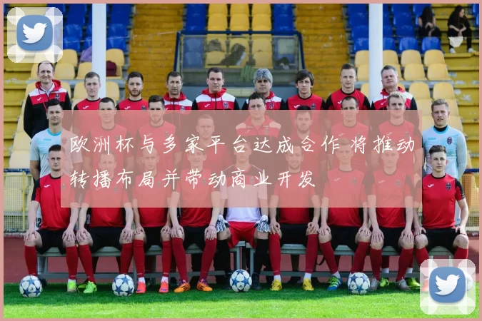 欧洲杯与多家平台达成合作 将推动转播布局并带动商业开发